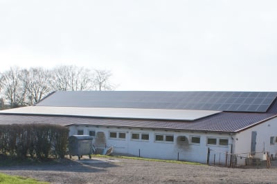Photovoltaik Dachsanierung von Dachdecker Andreas Weizel