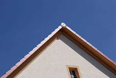 Giebel mit neu eingedecktem Ziegeldach und Ortgang